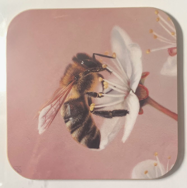 Coaster - Bee on Blossom design