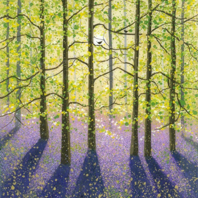 Pamphill bluebell woods. PRINT