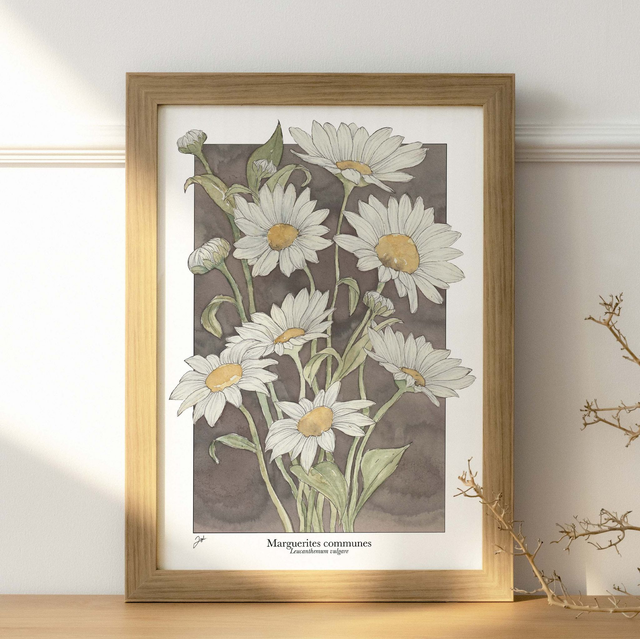 Affiche A4 - Vin Nature - Marguerites