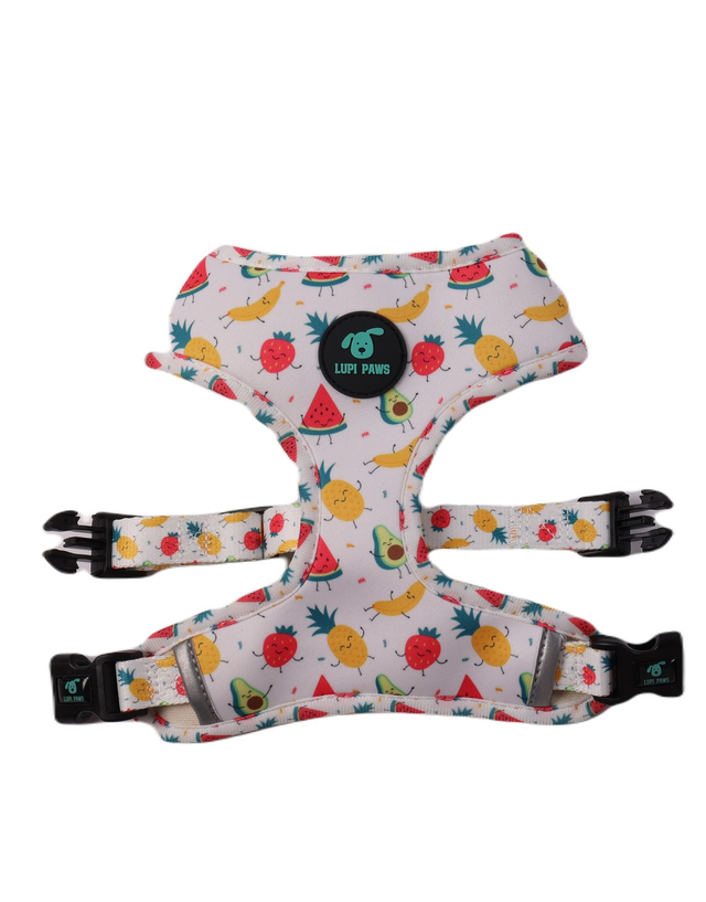 Tutti Frutti reversible harness