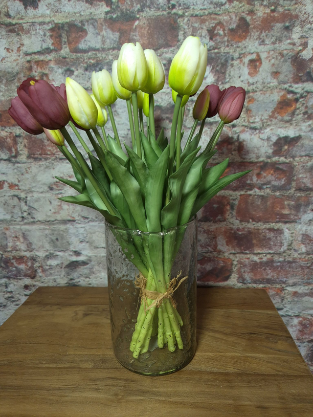 Tulp Countryfield paars, maat M