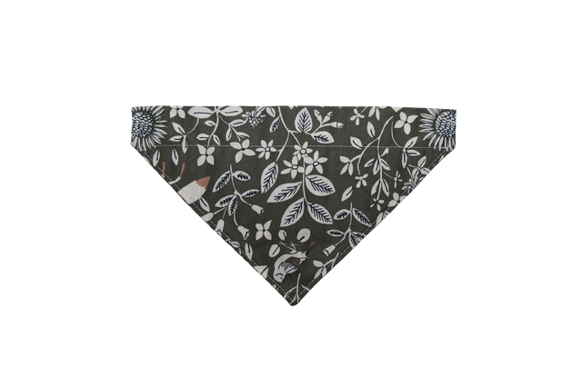 Bandana - Automne 2