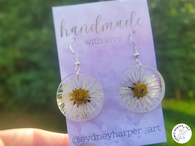 Circling Daisies