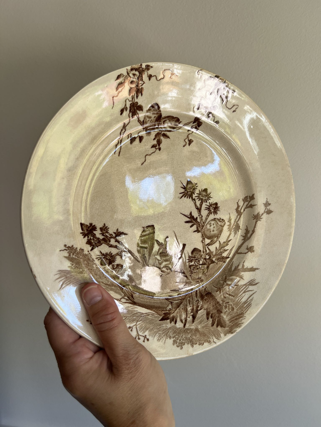 CHARDONNERET - Assiette plate de la manufacture Creil & Montereau - Terre de Fer