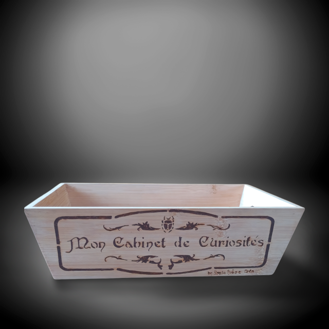 Vide poche cabinet des curiosités