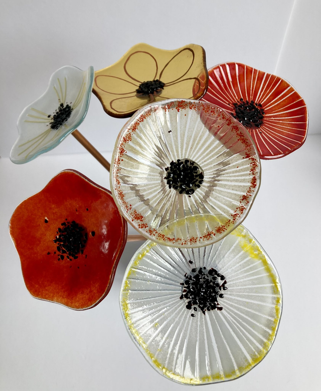 Everlasting flower - set of 6 mixed colours