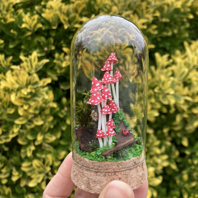 Champignons phosphorescent rouge sur écorce