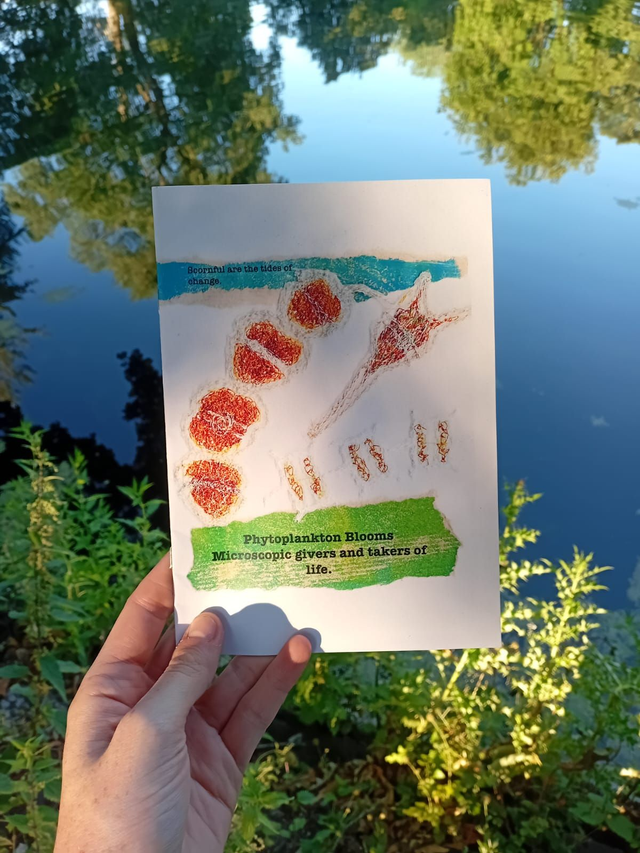 Analogish and The Jolly Upcycler Zine: Phytoplankton Blooms