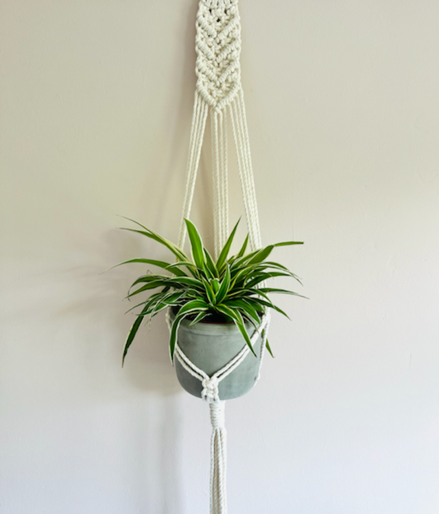 Flat Long Plant Hanger