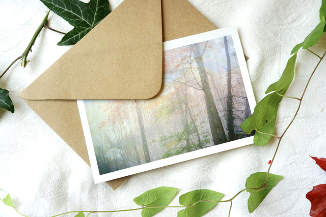 Carte postale S photographie "Forêt de brume"