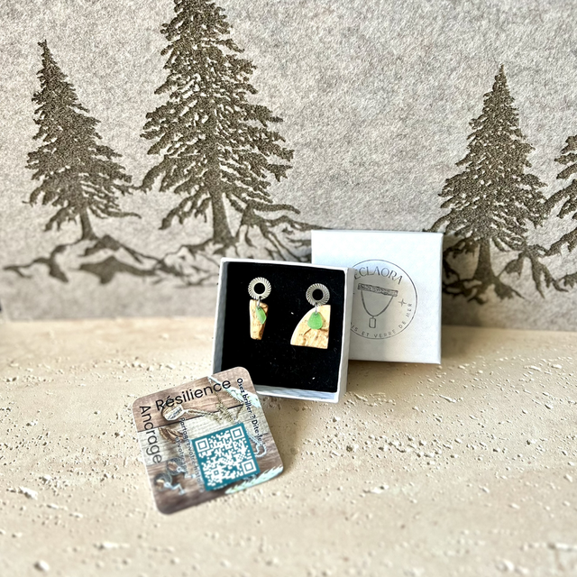 Boucles d’Oreilles Chancre de Hêtre & Éclat Marin