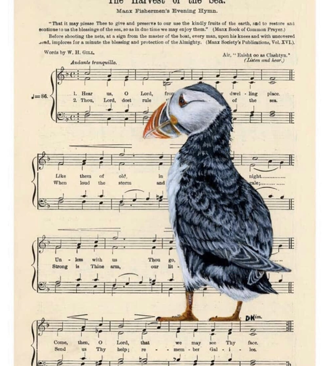 Dawn Kennaugh A5 mounted prints