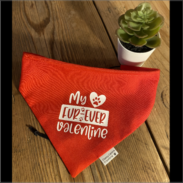 My fur-ever valentine 