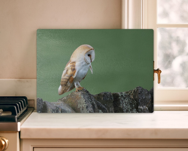 "Barn Owl" Glass Worktop Saver  