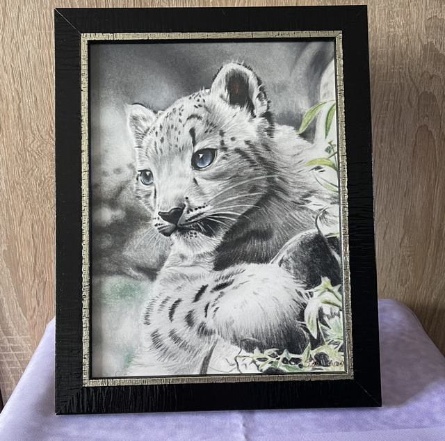Tekening sneeuwluipaard (origineel) met lijst