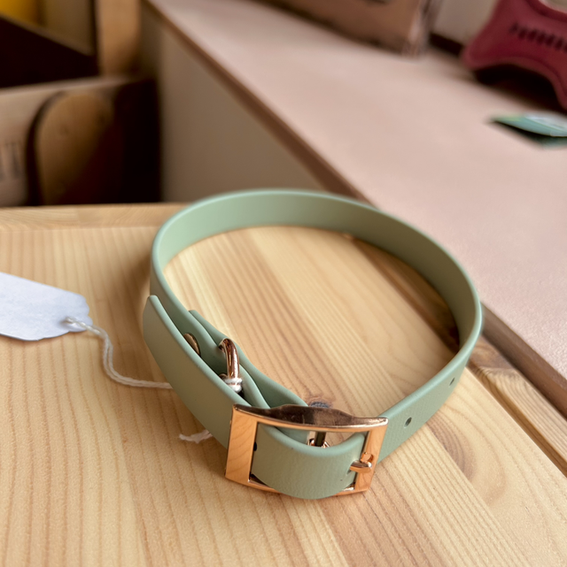 Pet Pooch Boutique Sage Green BioThane Dog Collar - Medium