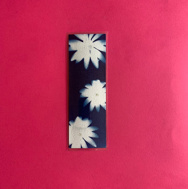 Marque page cyanotype végétal original sur papier épais et plastifié