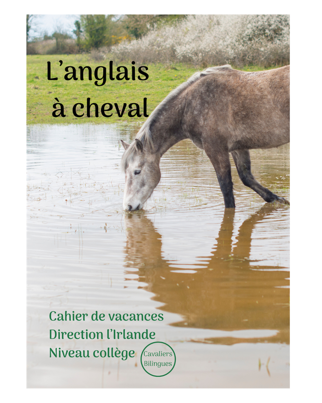 Direction l&#039;Irlande - Cahier de vacances anglais-équitation