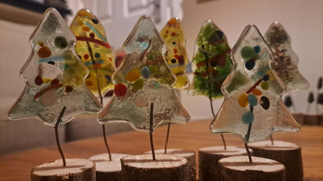 Christmas trees in stand