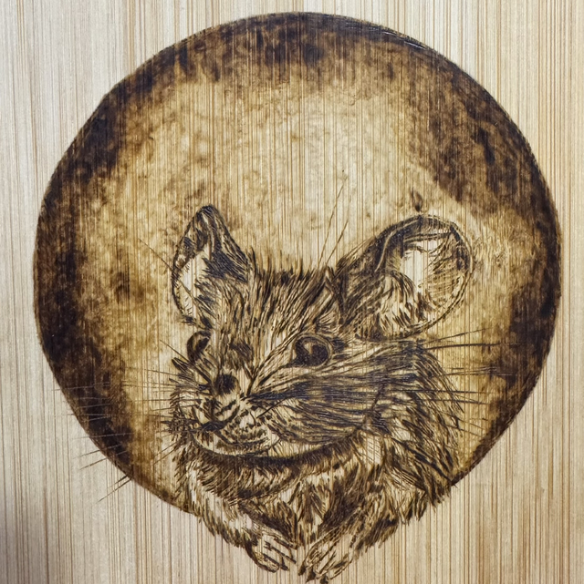 Sunday 19th April Mouse Pyrography Workshop at A Touch of Craft