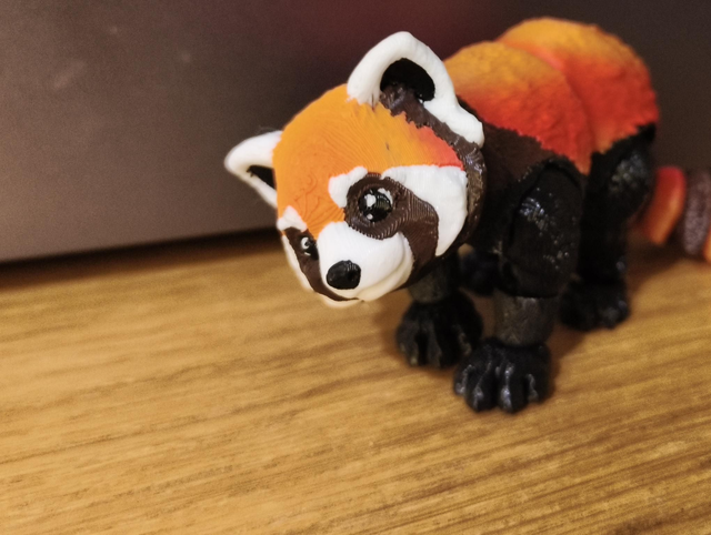 Cleo the Red Panda 