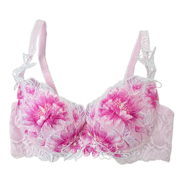 Pink fairy floral intricate embroidered Japanese Bra UK 30A