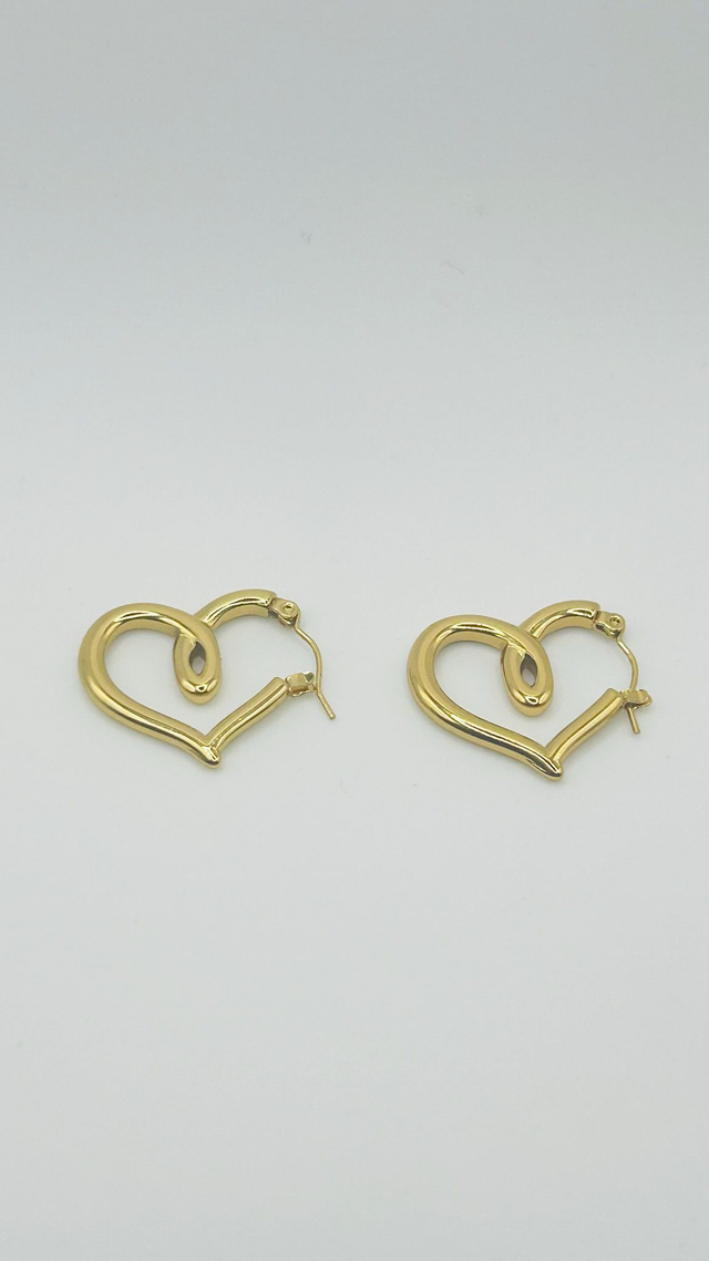 Stainless Steel Earrings (SSE23J)