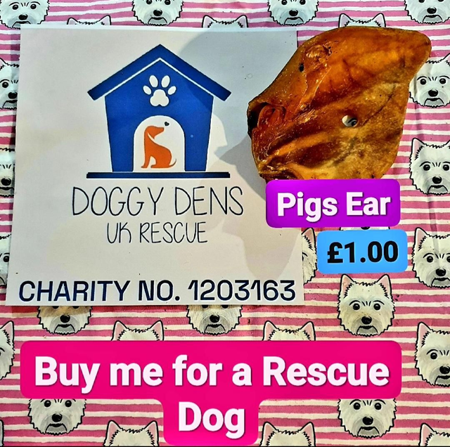 Pigs Ear for Doggy Dens Uk❤🇬🇧🐕