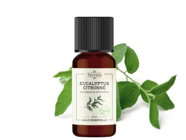 Huile essentielle Eucalyptus citronné 10ml