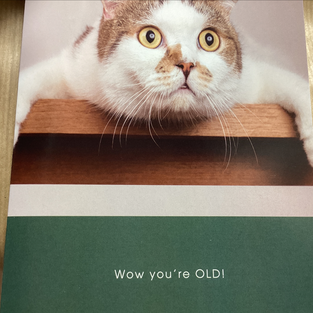 Birthday Humour Hey Hooman -  Wow You’re old. 