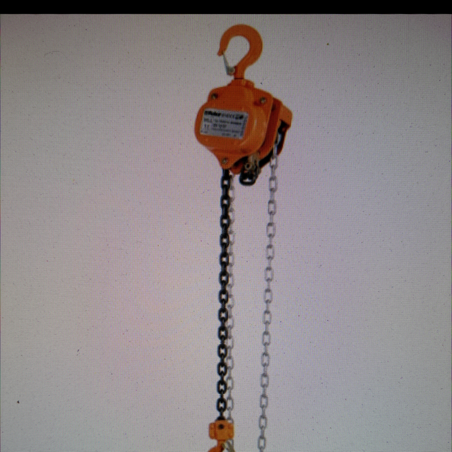 Paranco 81 43 1000 kg