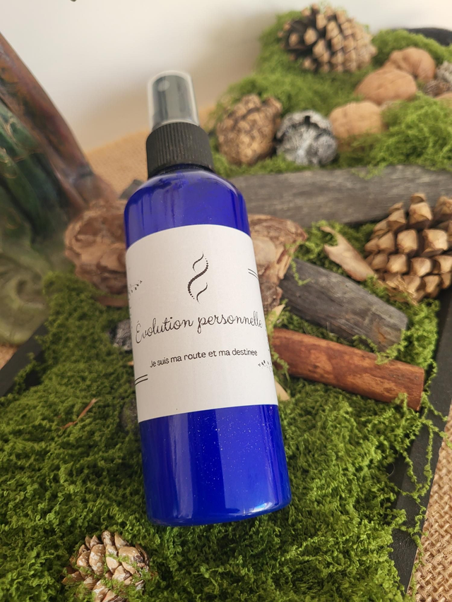 Elixir - Évolution personnel 