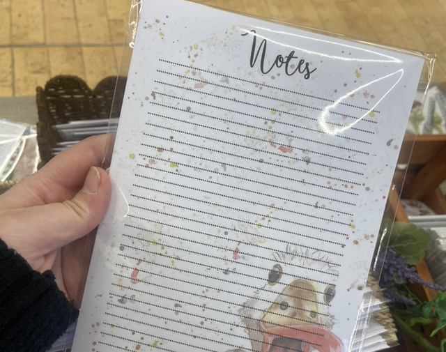 Duck A5 Notepad 