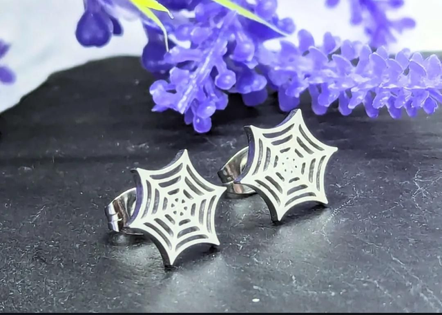 Stainless Steel Spider Web Stud Earrings 