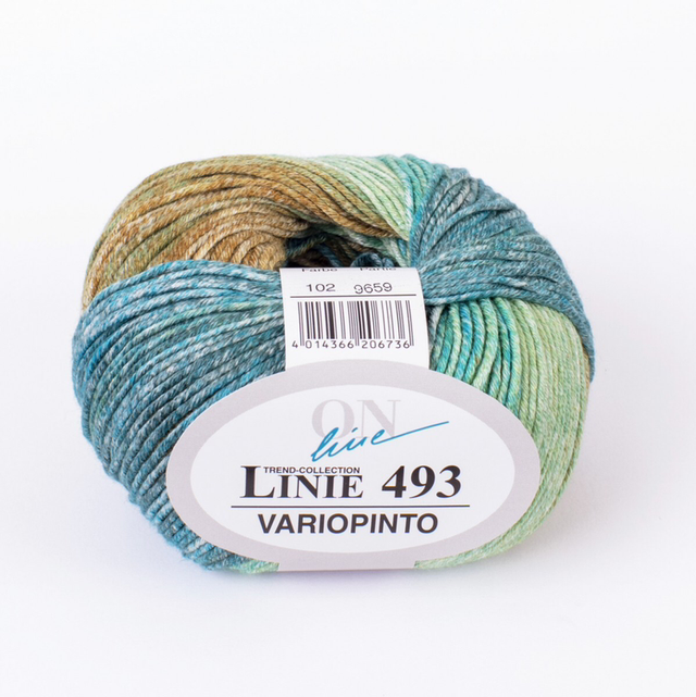 493 Variopinto