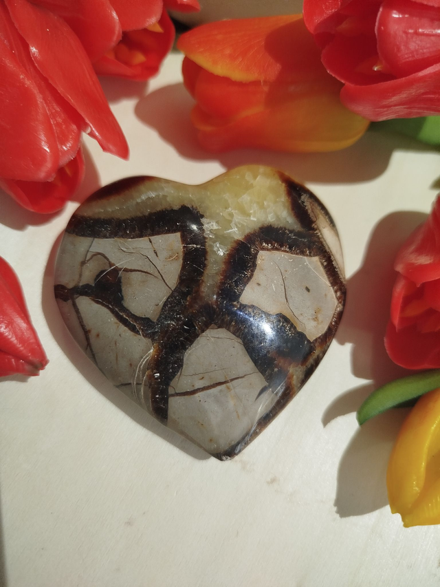 💛 Cœur en Septaria 