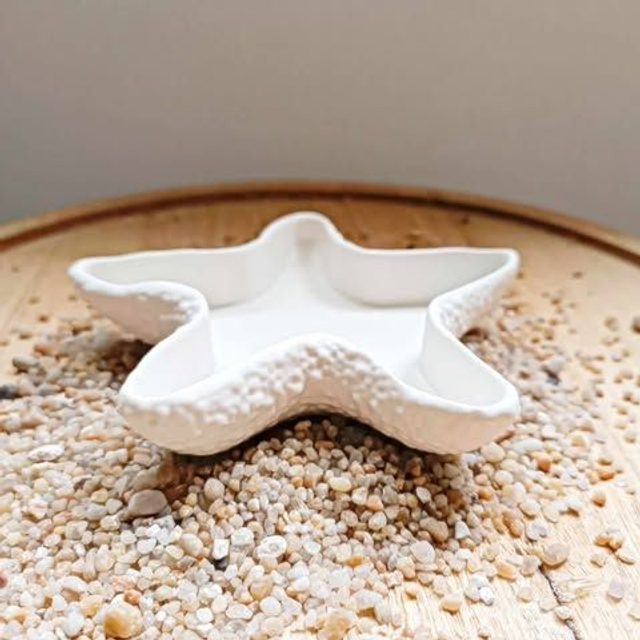 Vide poche étoile de mer