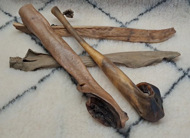 49 - Peau de Chameau 40 cm