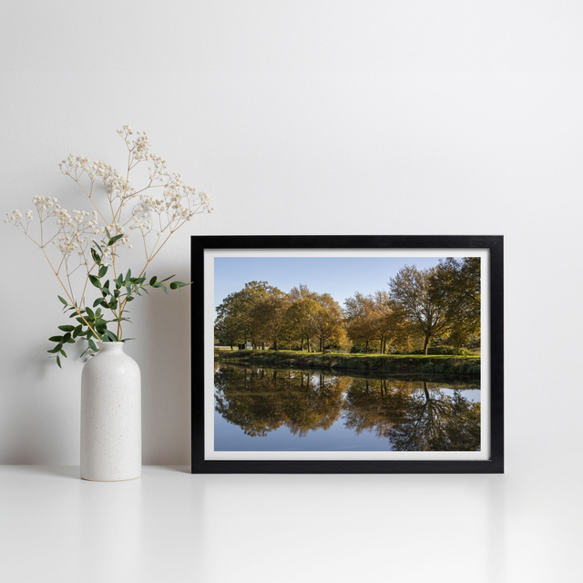 Tirage papier - Tree reflection