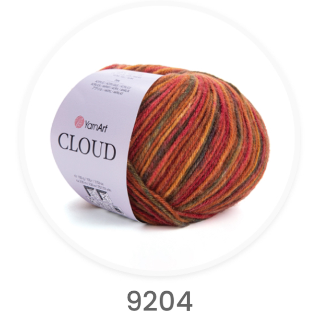 Cloud 9204