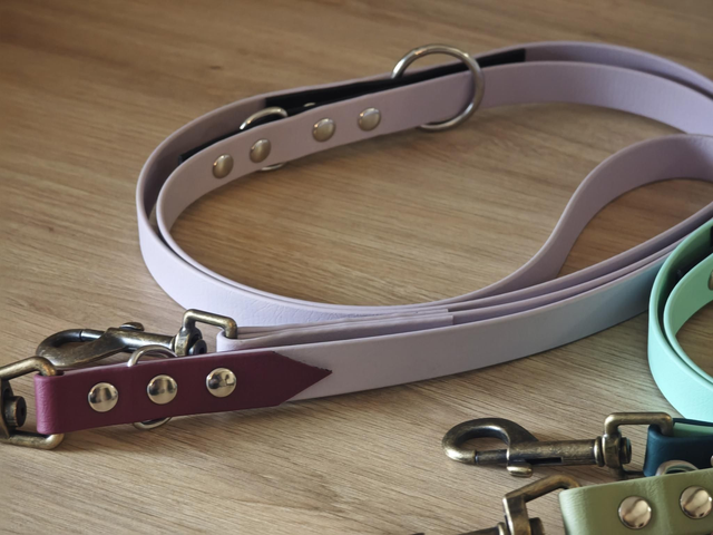 Laisse 19mm Multi position biothane