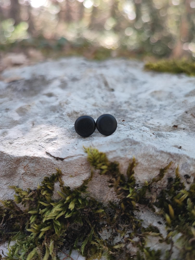 Puces d'Oreilles en Bois d'Ébène du Gabon et Titane 