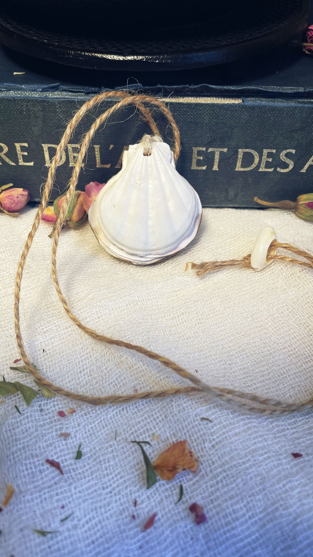 Shell book charm