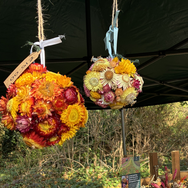 Dried flower hanging display