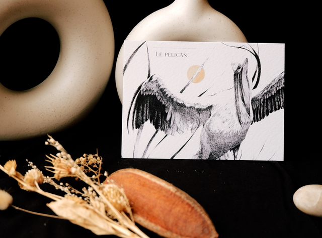 Carte postale A6 "L'envol du pélican "