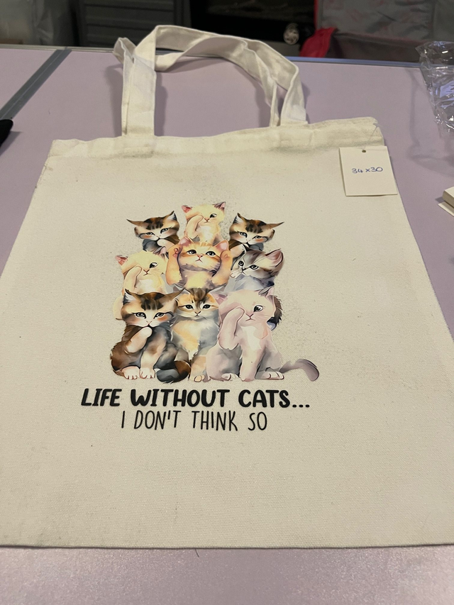 Life Without Cats...