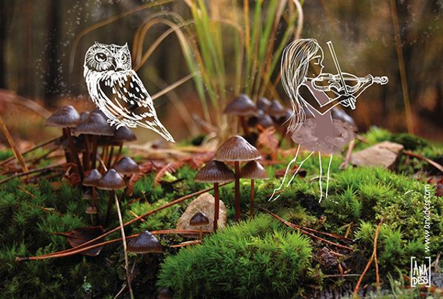 Pack cartes "La Traversée des Voiles" (Musicalité) - Ana Dess