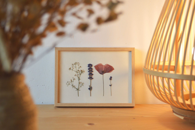 Tableau 13*18 cm - Petit herbier champêtre