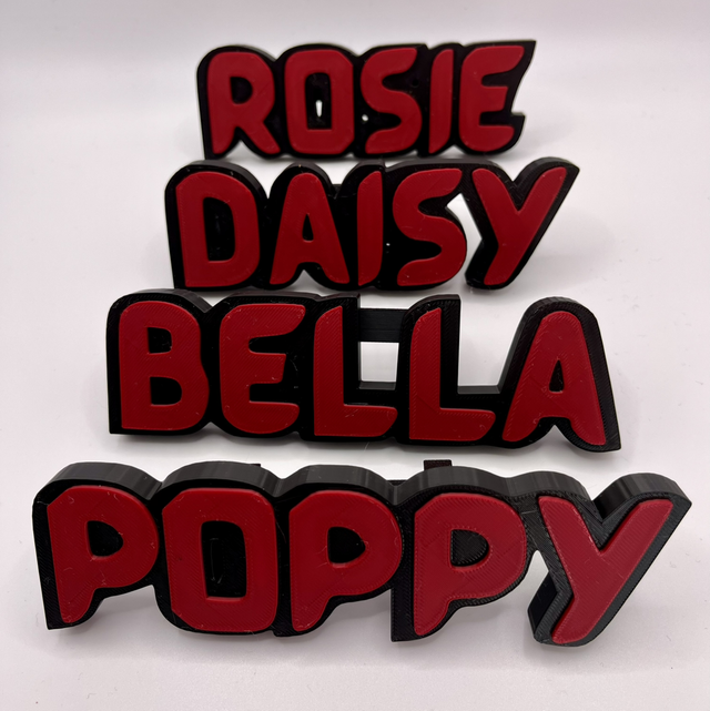 Dog name tags