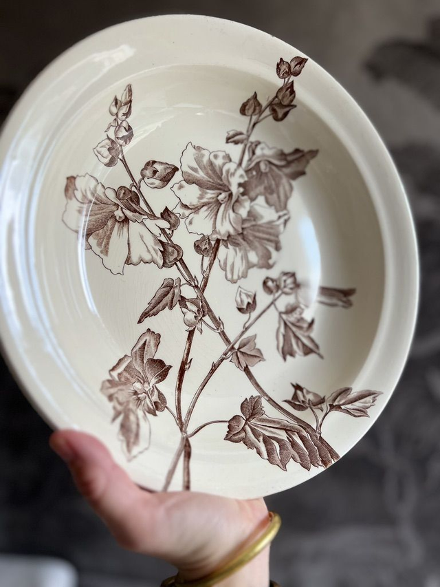 TREMIERES - Plat creux rond de la manufacture des Salins XIXème siècle - Terre de Fer